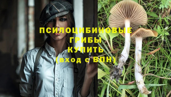 MDMA Premium VHQ Абаза